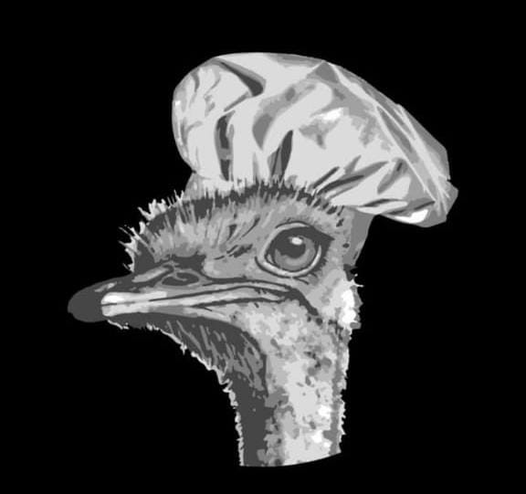 Pure Essential Oil Store