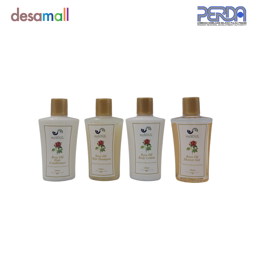 MYSOUL 4 In 1 Travel Se