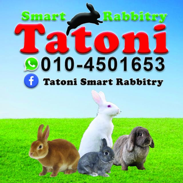 Tatoni Smart Rabbitry