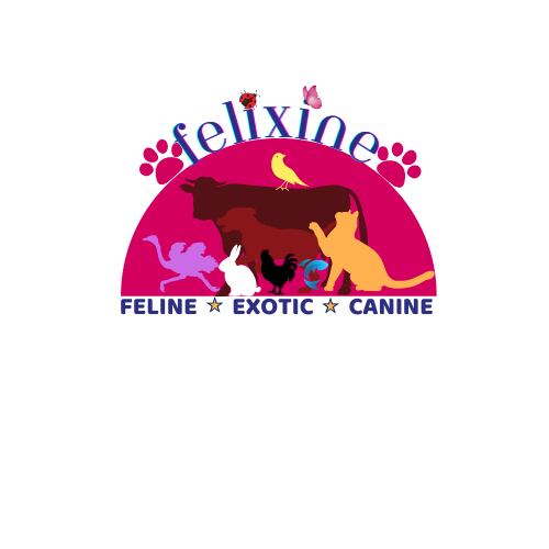 Felixine Pet Supplies