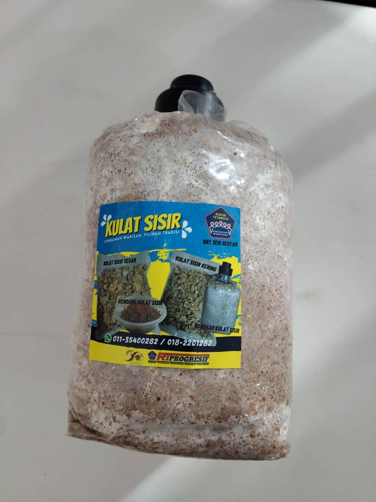 Bongkah Kulat Sisir
