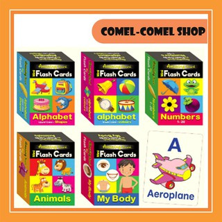 MIND TO MIND AMAZING MINI FLASH CARD FOR BABIES TO 3 YEARS OLD (Alphabet Lowercase and Colours)